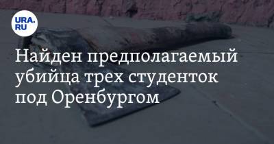 Найден предполагаемый убийца трех студенток под Оренбургом