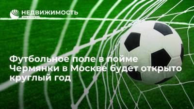 Футбольное поле с подогревом в пойме реки Чермянки в Москве будет открыто круглогодично