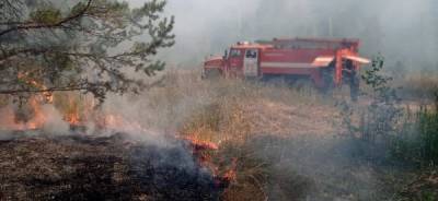 В Тюменской области уволен чиновник, отвечавший за тушение лесных пожаров