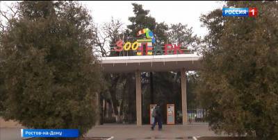 Ростовский зоопарк с октября перейдёт на новый режим работы