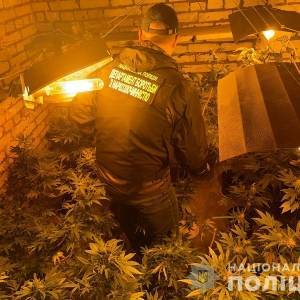 У жителя Запорожья изъяли партию марихуаны на один миллион гривен. Фото. Видео