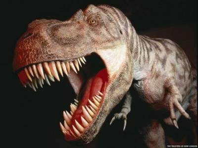 У берегов Англии ученые обнаружили останки неизвестных динозавров с «крокодильими мордами» (ФОТО)