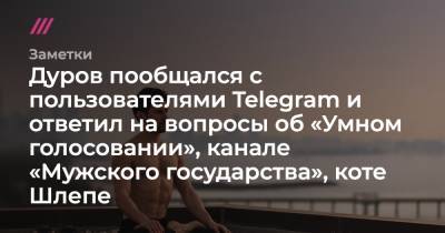 Дуров пообщался с пользователями Telegram и ответил на вопросы об «Умном голосовании», канале «Мужского государства», коте Шлепе