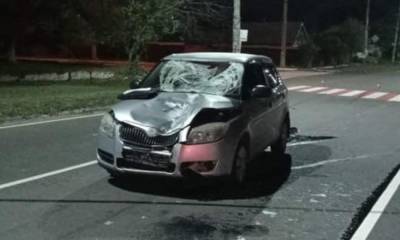 ДТП в Лисичанске: автомобиль Skoda на переходе сбил женщину, полиция ищет очевидцев аварии