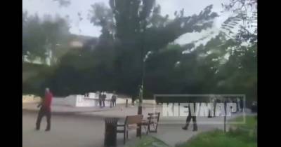 В Киеве огромный тополь рухнул в метре от студентов КПИ (видео)