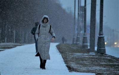 «Холода наступят постепенно»: Тишковец рассказал, какой будет зима в Москве