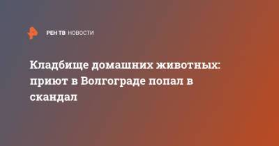 Кладбище домашних животных: приют в Волгограде попал в скандал