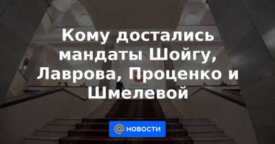 Кому достались мандаты Шойгу, Лаврова, Проценко и Шмелевой