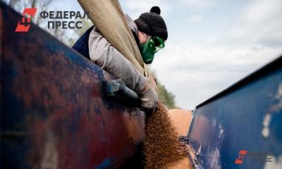 Два миллиона тонн зерна собрали в Красноярском крае