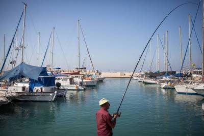 В воде у порта Яффо нашли неизвестную ракету