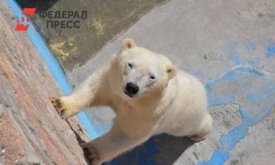 В Челябинске отстояли городской бор возле зоопарка