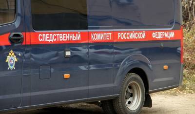 Бастрыкин взял на контроль расследование убийства студенток из Башкирии в Оренбуржье