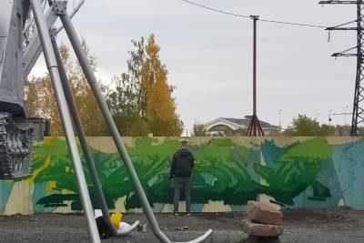 В Петрозаводске художники смогут рисовать граффити на нежилых домах