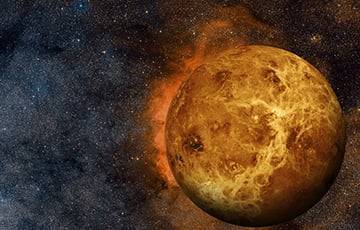 Ученые: На Венере возможен фотосинтез