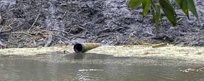 Прокуратура проверяет информацию из интернета о загрязнении реки Битевка в парке Кургана