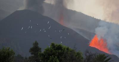 Извержение вулкана на Канарах: интенсивность возросла, за сутки больше 10 землетрясений