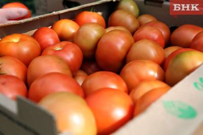 В Коми за неделю отмечен рост цен на помидоры и яйца