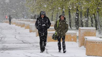 Метеоролог Старков рассказал, когда ожидать первый снег в Москве