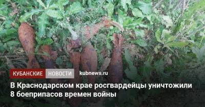 В Краснодарском крае росгвардейцы уничтожили 8 боеприпасов времен войны