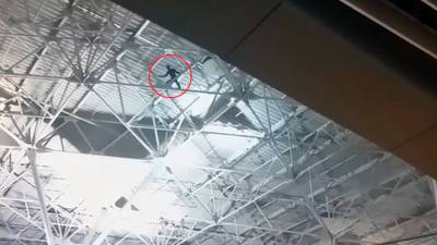 Стали известны детали инцидента с экстремалом в аэропорту "Внуково"