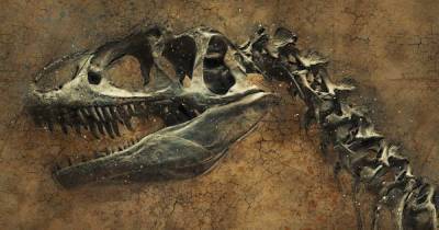 Палеонтологи нашли в Британии два новых хищных вида динозавров