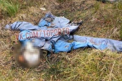 Появилось фото с места обнаружения пропавшего почти год назад в Тверской области подростка