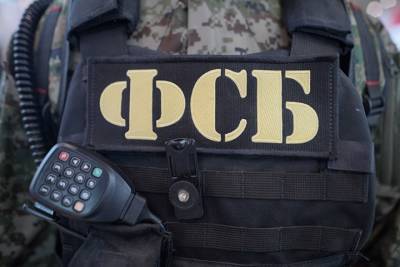 В ФСБ утвердили данные, за передачу которых за рубеж могут признать иноагентом - vm - Россия