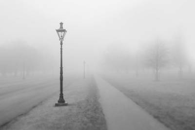 В Рязанской области выпустили метеопредупреждение из-за тумана
