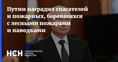 Путин наградил спасателей и пожарных, боровшихся с лесными пожарами и паводками