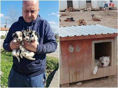 Житель Сербии спасает сотни собак с улицы – и дарит им новую жизнь