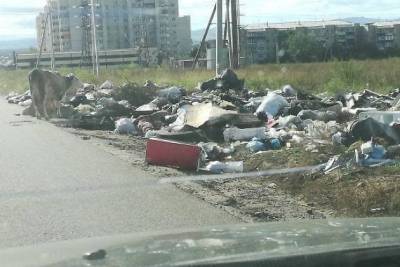 «Олерон» так и не вывез мусор из нескольких дворов Читы 3 сентября
