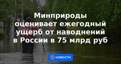 Минприроды оценивает ежегодный ущерб от наводнений в России в 75 млрд руб