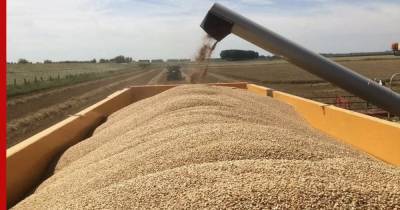 СМИ: Россия за 20 лет проделала огромный путь, чтобы стать крупнейшим экспортером зерна
