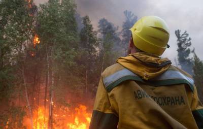 Авиалесоохрана заявила, что на территории России горит более 200 тыс. га леса