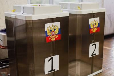 Досрочное голосование началось в районах Забайкальского края с 3 сентября