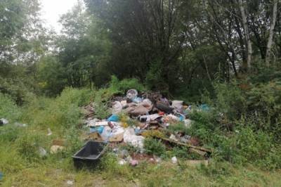 В Хабаровском крае жители вывозят мусор к реке