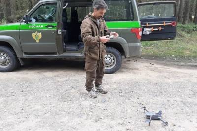 В Ярославской области дроны будут искать лесные пожары