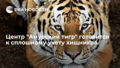Директор Центра "Амурский тигр" Арамилев: сплошной учет тигров будет закончен в 2022 году