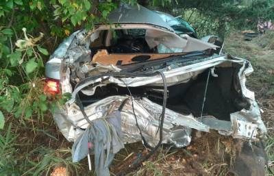 Смертельное ДТП в Тверской области: водитель погиб, врезавшись в дерево