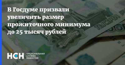 В Госдуме призвали увеличить размер прожиточного минимума до 25 тысяч рублей