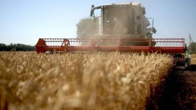 Украина установила рекорд за всю историю по сбору ранних зерновых культур — 44,8 млн тонн