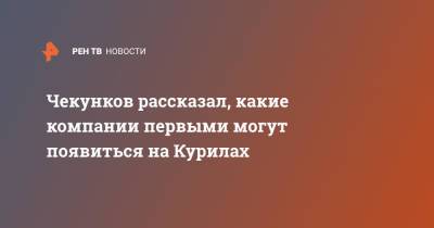 Чекунков рассказал, какие компании первыми могут появиться на Курилах