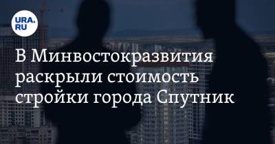 В Минвостокразвития раскрыли стоимость стройки города Спутник
