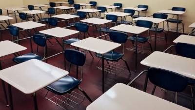 Учебный процесс в нижегородской гимназии №13 будет приостановлен по причине отравления школьников