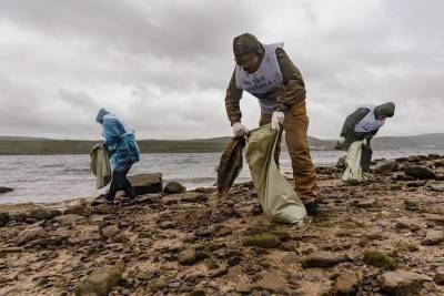 В Мурманске высадят более 3000 сеянцев сосен