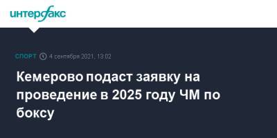 Кемерово подаст заявку на проведение в 2025 году ЧМ по боксу