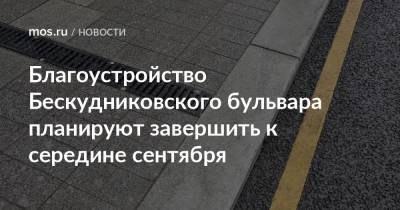 Благоустройство Бескудниковского бульвара планируют завершить к середине сентября - mos.ru - Москва - Благоустройство
