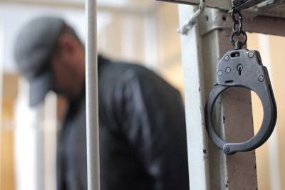 Обвиняемого в похищении девушки в Нижнем Новгороде заключили под стражу