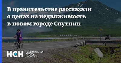 В правительстве рассказали о ценах на недвижимость в новом городе Спутник