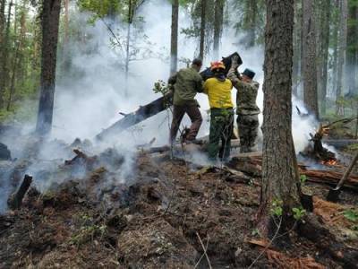 У Тюменской области нет денег на исследования и восстановления последствий лесных пожаров